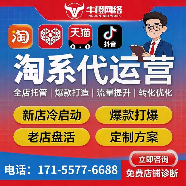 巴彦淖尔电商代运营