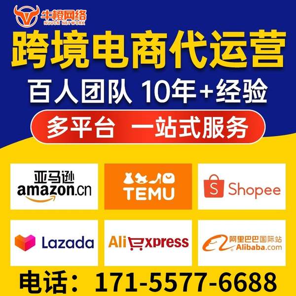 巴彦淖尔电商代运营