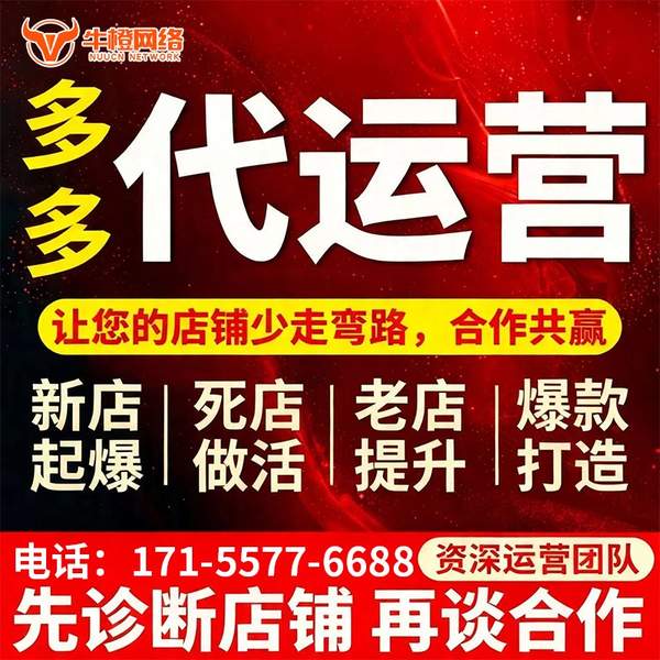 巴彦淖尔电商代运营