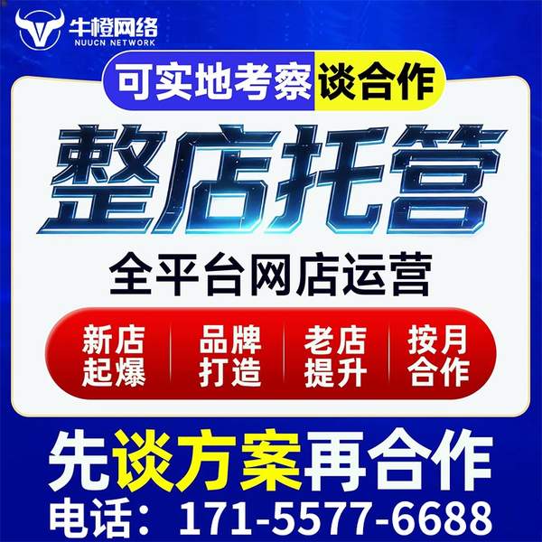 巴彦淖尔电商代运营