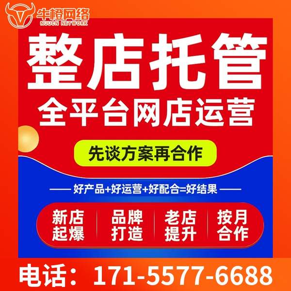 巴彦淖尔电商代运营