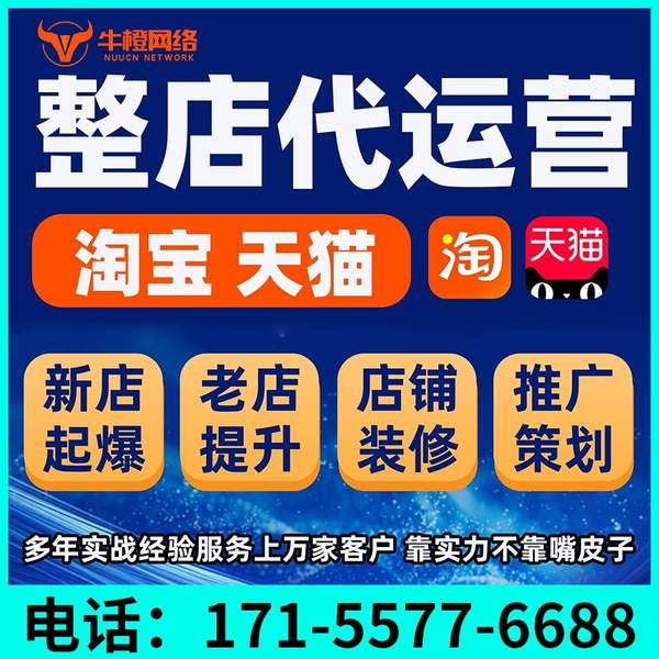 巴彦淖尔电商代运营