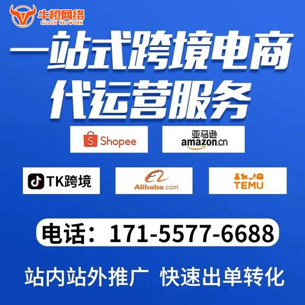 巴彦淖尔电商代运营
