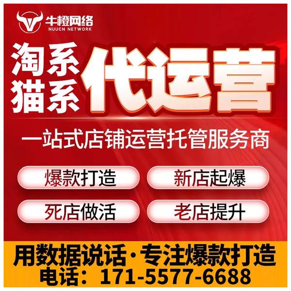 巴彦淖尔电商代运营